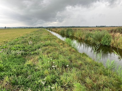 Waterschap Vallei en Veluwe verbiedt oppompen grondwater bij natte natuur