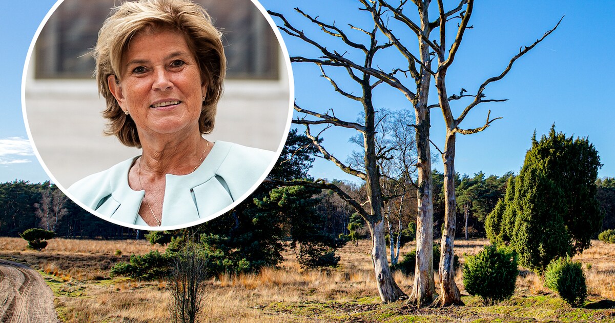 BBB-bestuurder wil af van beschermde Veluwe. Wat is er aan de hand ...