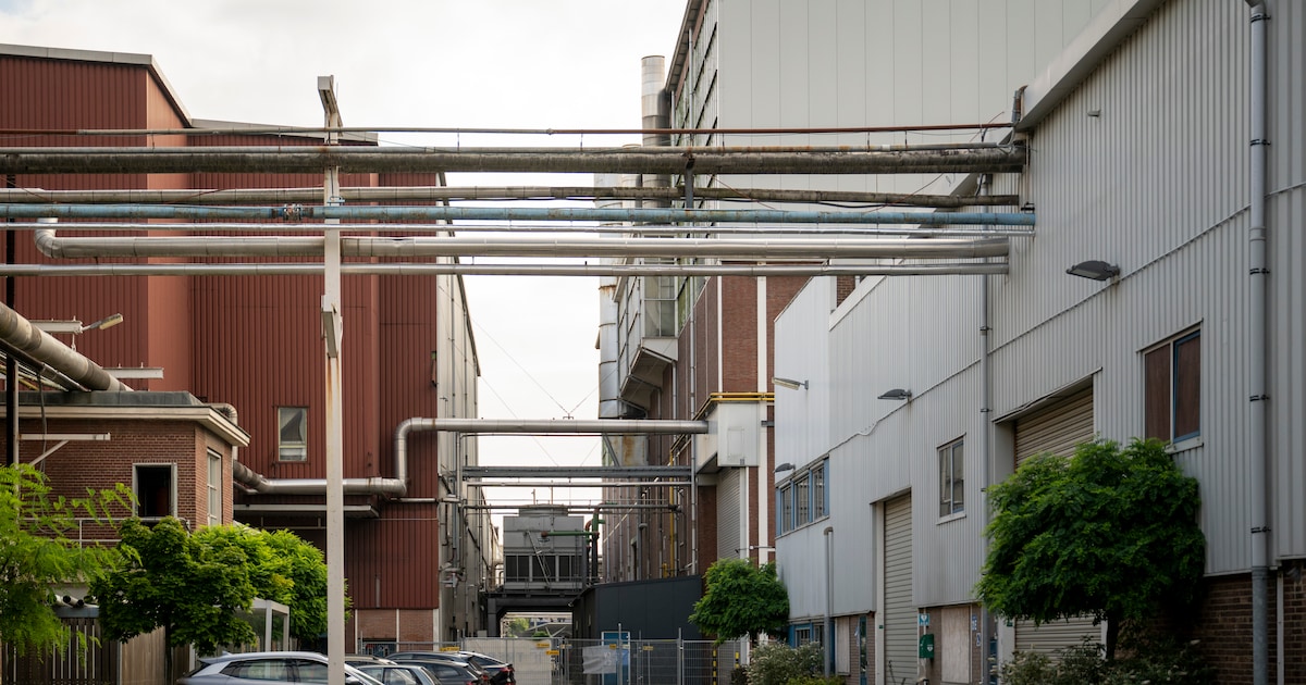 Van oude fabriek naar nieuwe hotspot: KMS in Hengelo begint steeds meer te leven