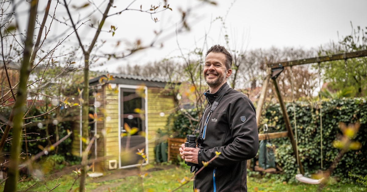 Harm telt al vijfhonderd (!) diersoorten in zijn doodnormale tuin: ‘Lekker op tuinsafari’