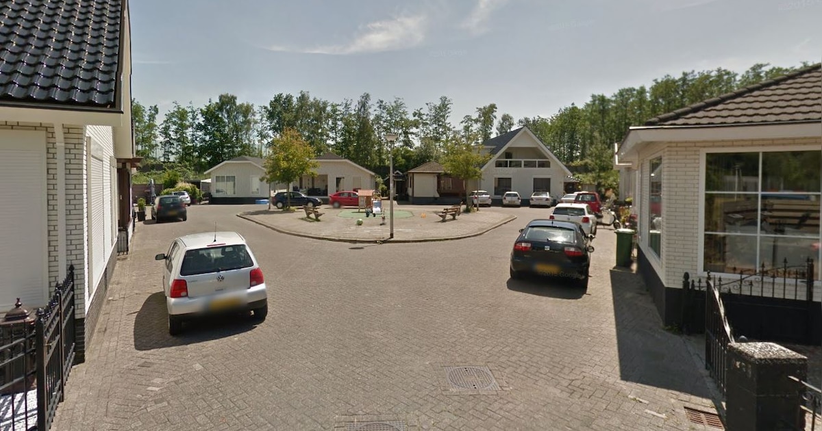 Zoontje (12) ziet hoe tante zijn vader met mes te lijf gaat tijdens familieruzie bij barbecue op woo