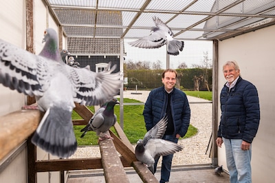 Bas en Gerard hebben de beste duiven van Nederland en daar betaal je flink voor: 40.000 euro voor een jong