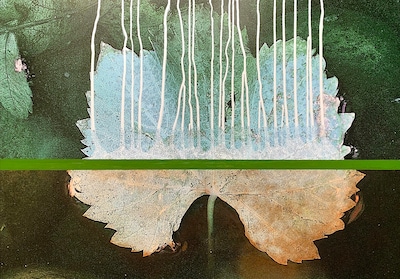 Open ateliers Vrouwe Udasingel in Lent op 14 december