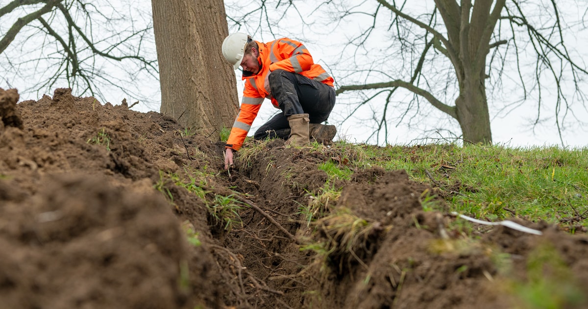 Archeologisch onderzoek bij De Plak in Bemmel gestart