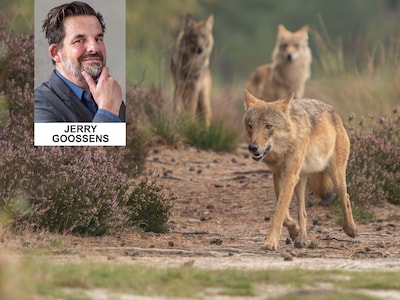 Het politieke gesteggel over het exacte tijdstip waarop Bram werd omgelegd is kenmerkend voor onze o