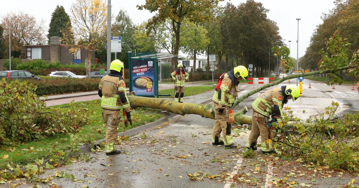 LIVE storm Austen | Boom valt om: vlak vóór brandweerkazerne Tiel ...