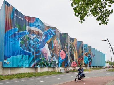 Indiaas bedrijf telt 12 miljard neer voor farmaconcern Organon uit Oss