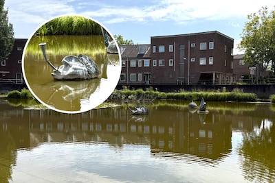 Aha! Dit doen de beelden in de vijver langs de Mina Krusemansingel