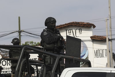 Zeven tijgers in beslag genomen bij arrestatie bendeleider Mexico