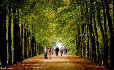 Op laatste dag van de herfst laat de zon zich zien, lokaal kan wel een bui vallen