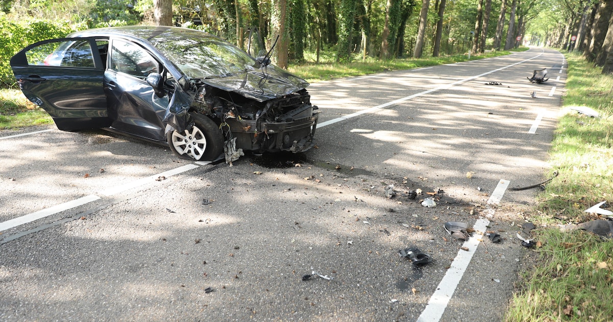 Auto rijdt tegen boom in Lieren