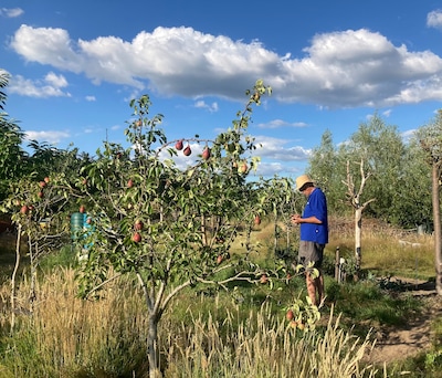 Biodiversiteitsambassadeur opent erf in Heumen voor inspiratiedag