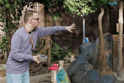 KIJK | De droombaan van Ferry (21), met een roze flamingo in zijn hand: ‘Dit is geweldig’