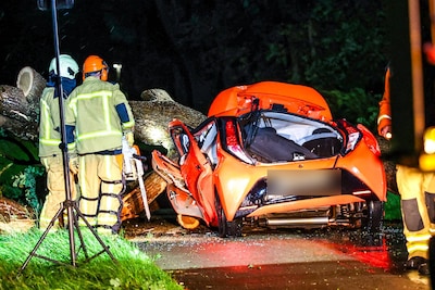 Vrouw (25) overleden nadat boom op rijdende auto valt