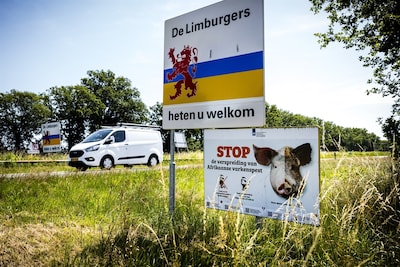 Limburg versterkt aanpak tegen Afrikaanse varkenspest