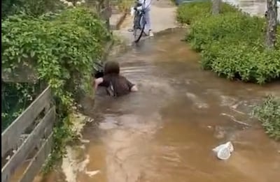Zinkgat slokt fietser op in ’s-Heerenberg, vrouw klimt er met moeite weer uit