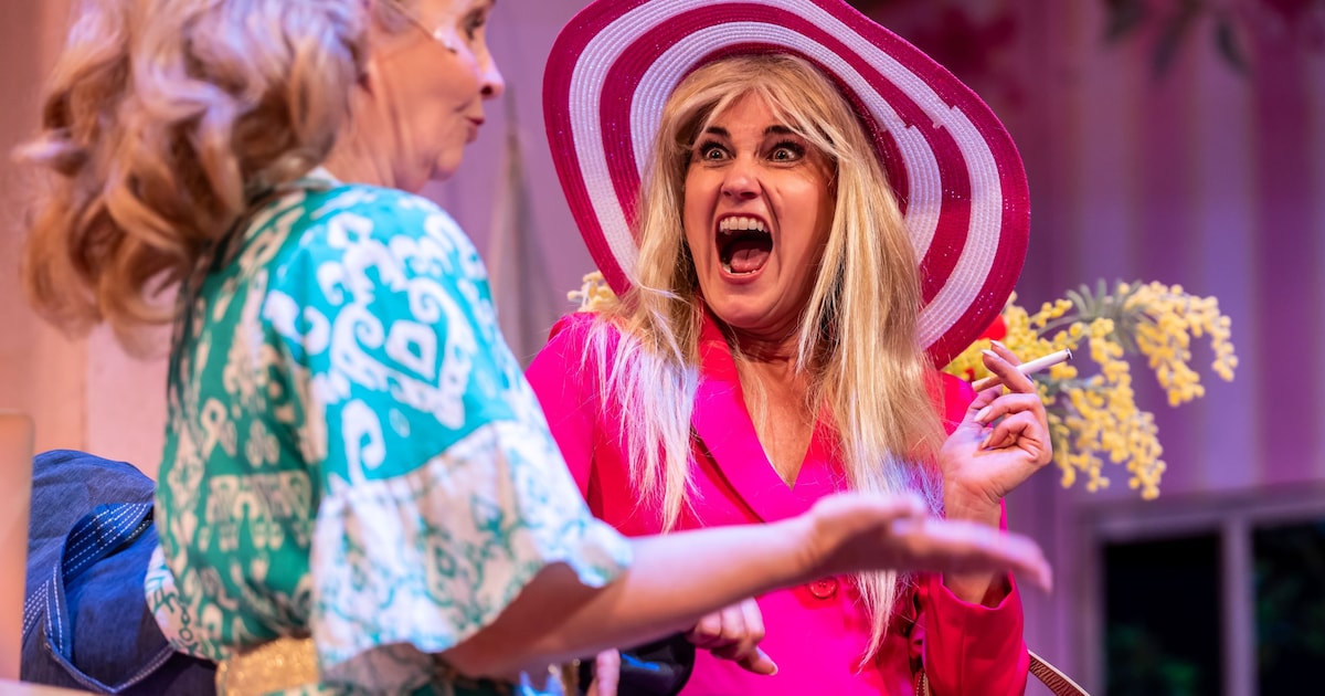 Romantische chaos in Theater Lampegiet met Hotel vol Liefde