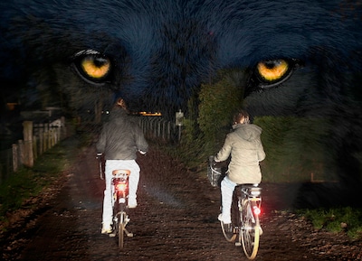 Doodsangst in ‘wolvenhoofdstad’ Barneveld: ‘Mijn kinderen durven niet alleen naar school te fietsen’