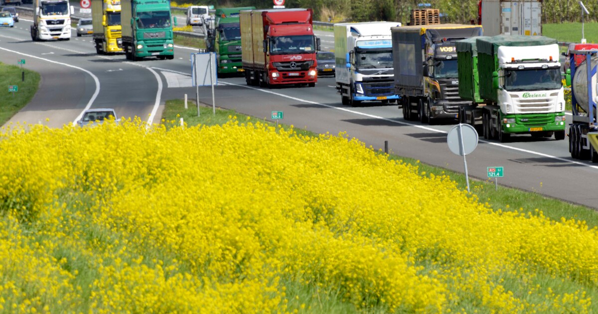 Weer een rijstrook vrij op A15 bij Deil na ongeval met meerdere auto's