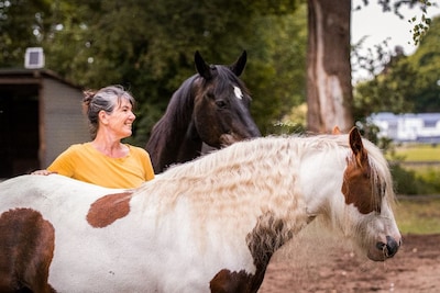 Yvette coacht met paarden: 'Er gebeuren vaak bijzondere en onverwachte dingen tijdens de sessies'