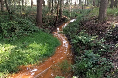 Land van Cuijk straks UNESCO-parel rijker? Hier borrelt het ijzerbruine water zó de grond uit