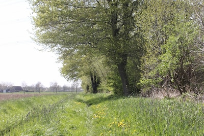 Klimaatwandeling tussen Doetinchem en Wehl