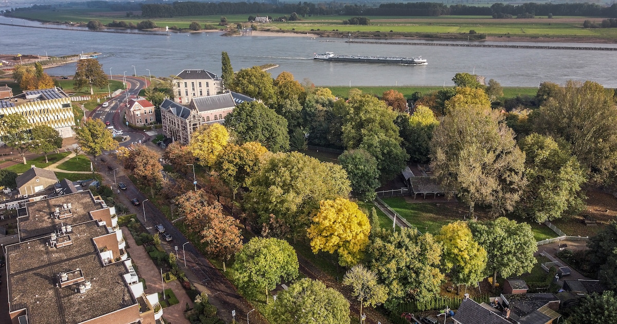 Tiel maant minister om het hertenkamp met rust te laten | Regio | De ...