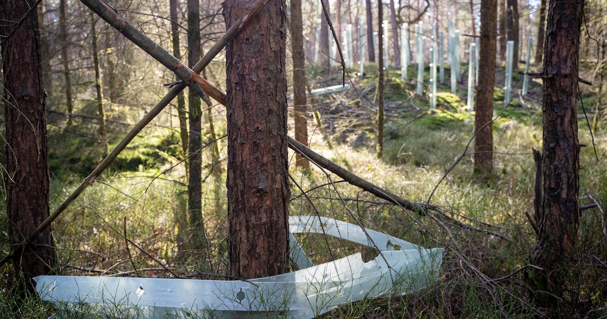 Lezers verontwaardigd over kapotte plastic kokers in bos: ‘Wie bedenkt dit?’