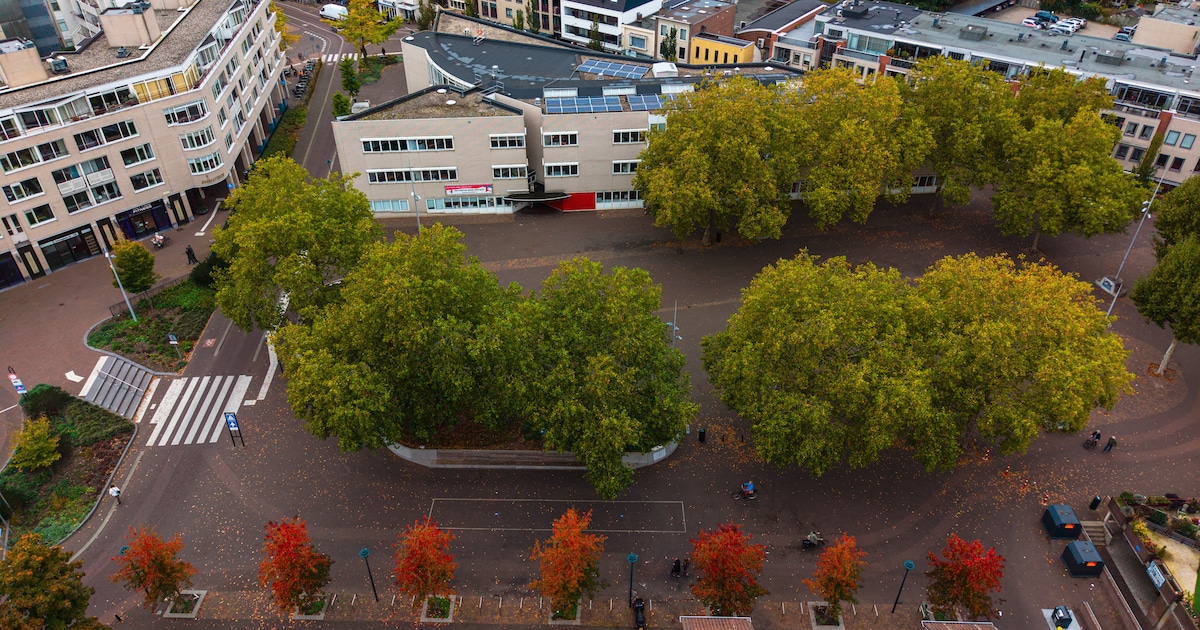 Gemeenteraad Zeist: ‘Toekomst Markt en omgeving geen inzet van verkiezingen maken’