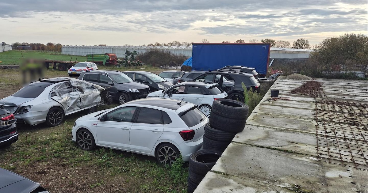 Politie treft omgekatte voertuigen en ‘jammer’ aan in loods Meterik