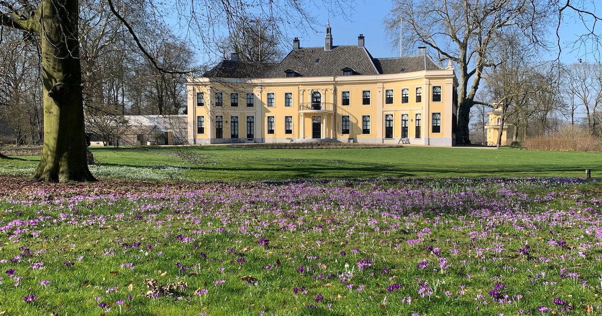 Lezing stinzenplanten op Huis Landfort in Megchelen