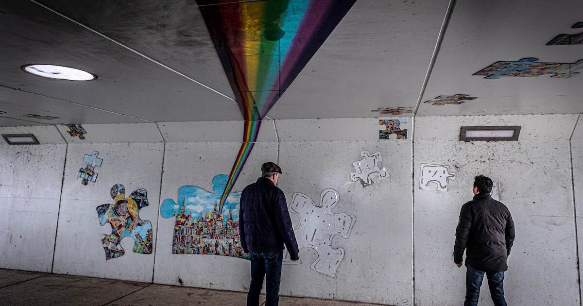 Dader vernieling kunstwerk meldt zich: ‘Sorry, ik weet ook niet waarom ...