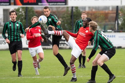Trekvogels terug op aarde • Milsbeek te sterk voor Astrantia