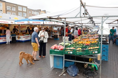 Parkeren op Wedren kan op zaterdag maandenlang niet door markt: waar moeten bezoekers heen?