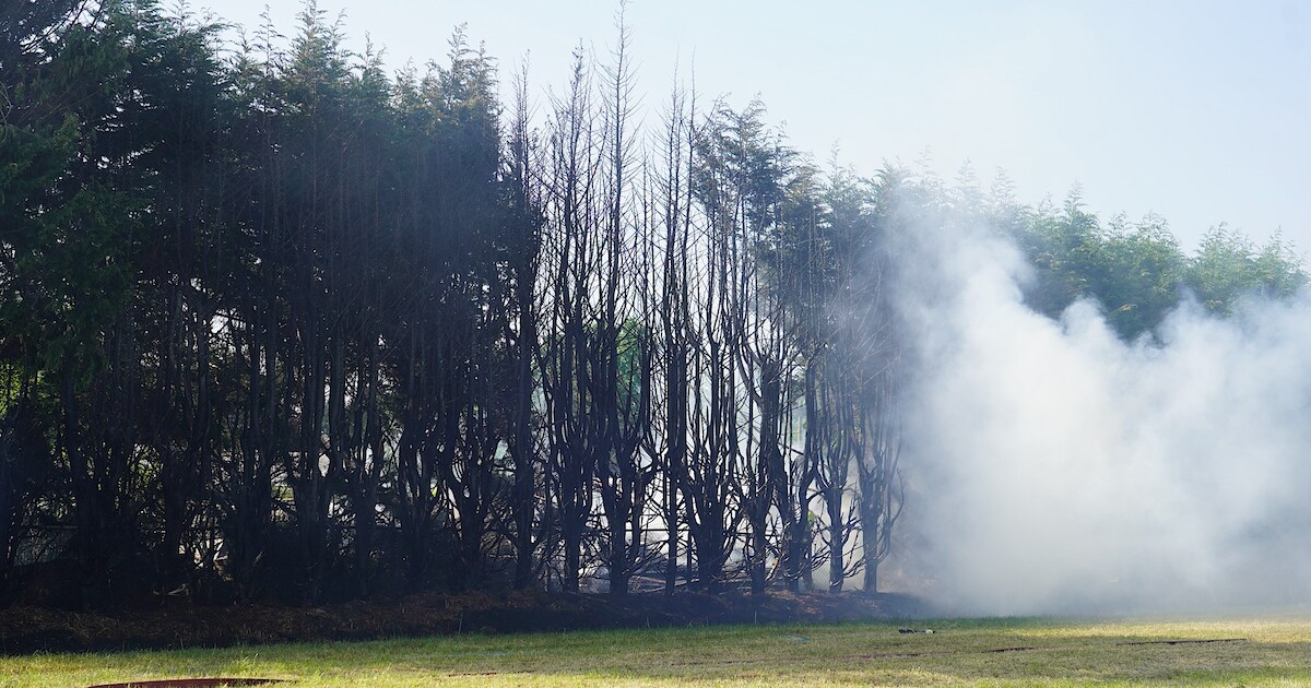 Heg in brand in Hulten