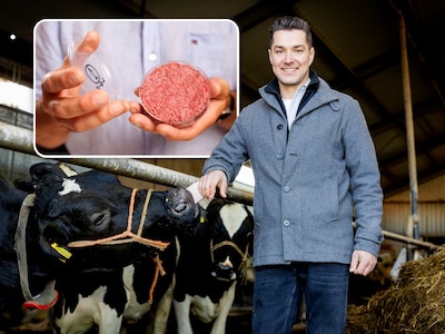 De techniek op Cornés boerderij werkt, dus waarom mag je dit kweekvlees nog niet kopen?