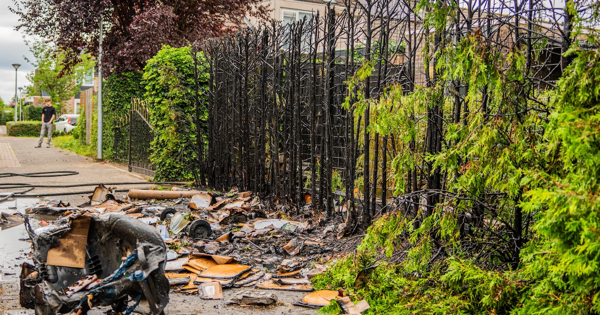 Containerbrand legt deel coniferenhaag in de as