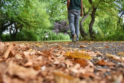 Leuke dingen doen tijdens de herfstvakantie? Dit is de weersverwachting in Ede