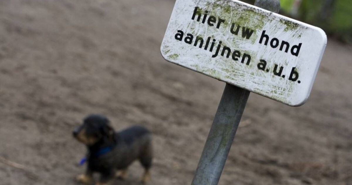 Honden mogen bijna los in Leuth