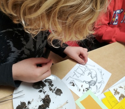 Dijkkanjers pluizen uilenballen in Beuningen