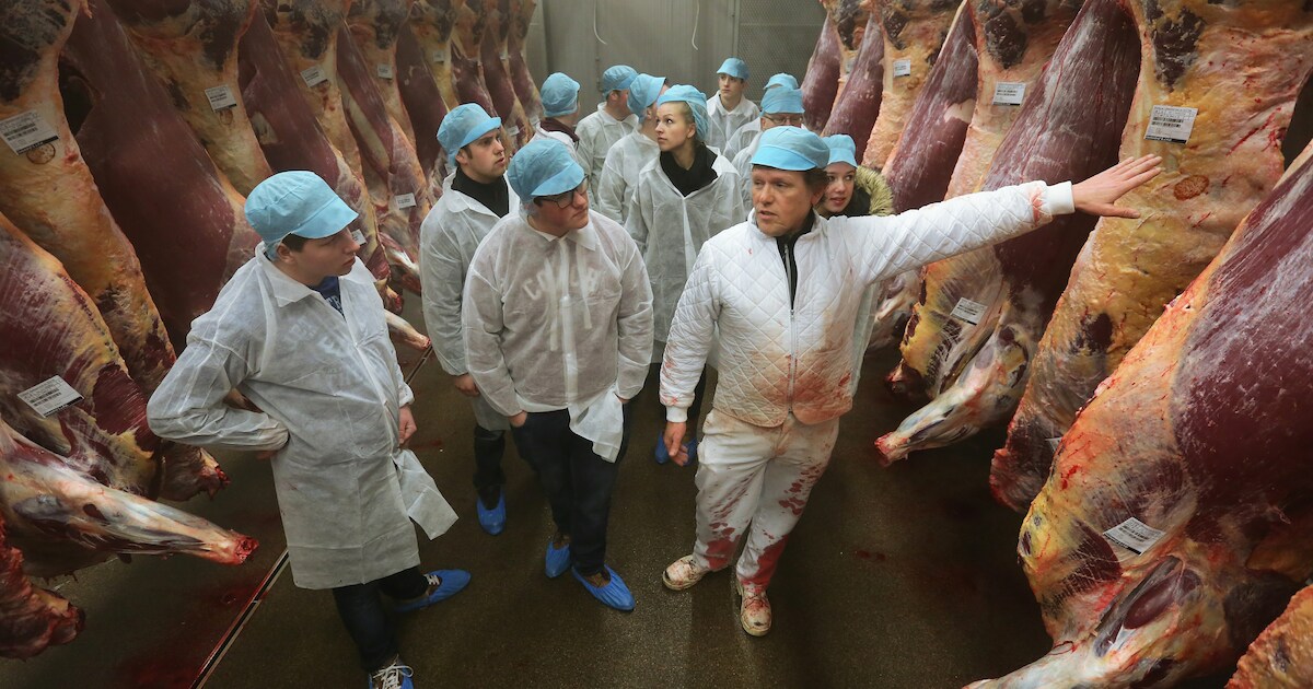 Omstreden vleesfabriek vangt bot: eigen schuld dat bloed van runderen in oppervlaktewater kwam