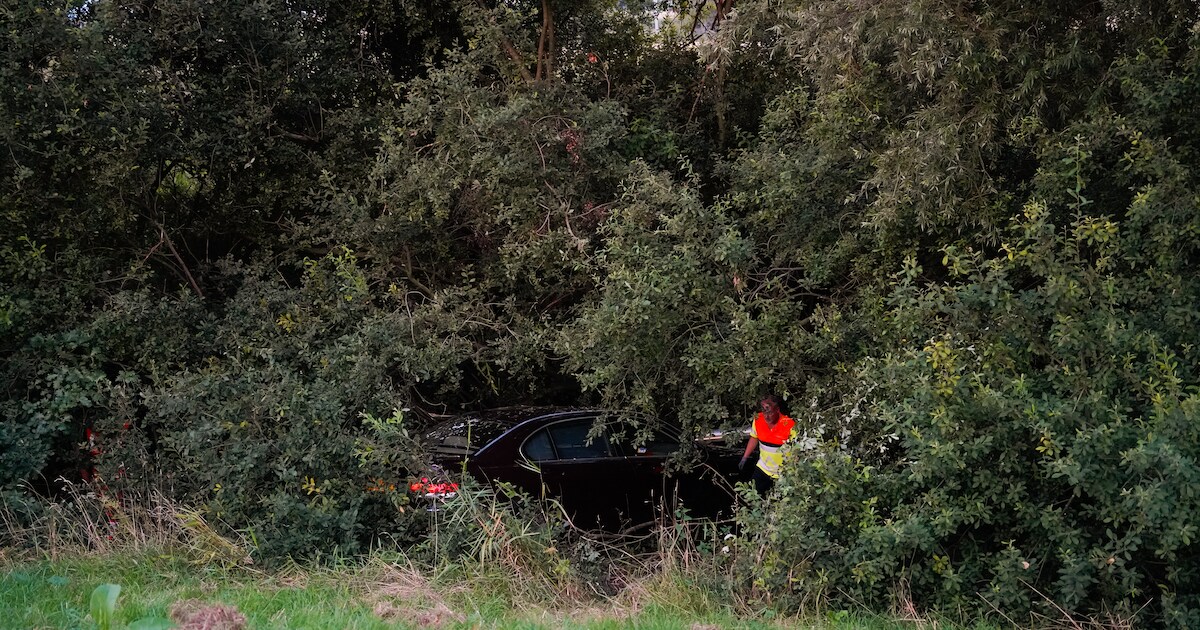 Automobilist rijdt van talud en verdwijnt in bosschages langs de Impuls in Duiven