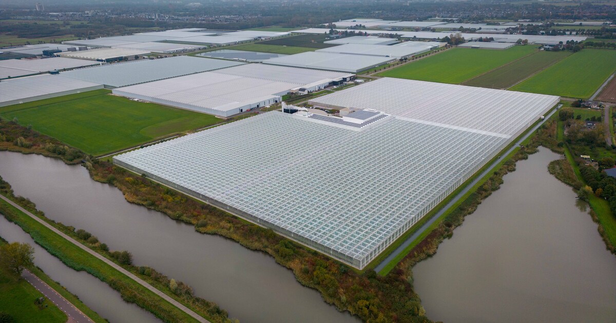 Honderdduizenden euro’s vloeien, ondanks protest, naar glastuinbouwgebied in Lingewaard