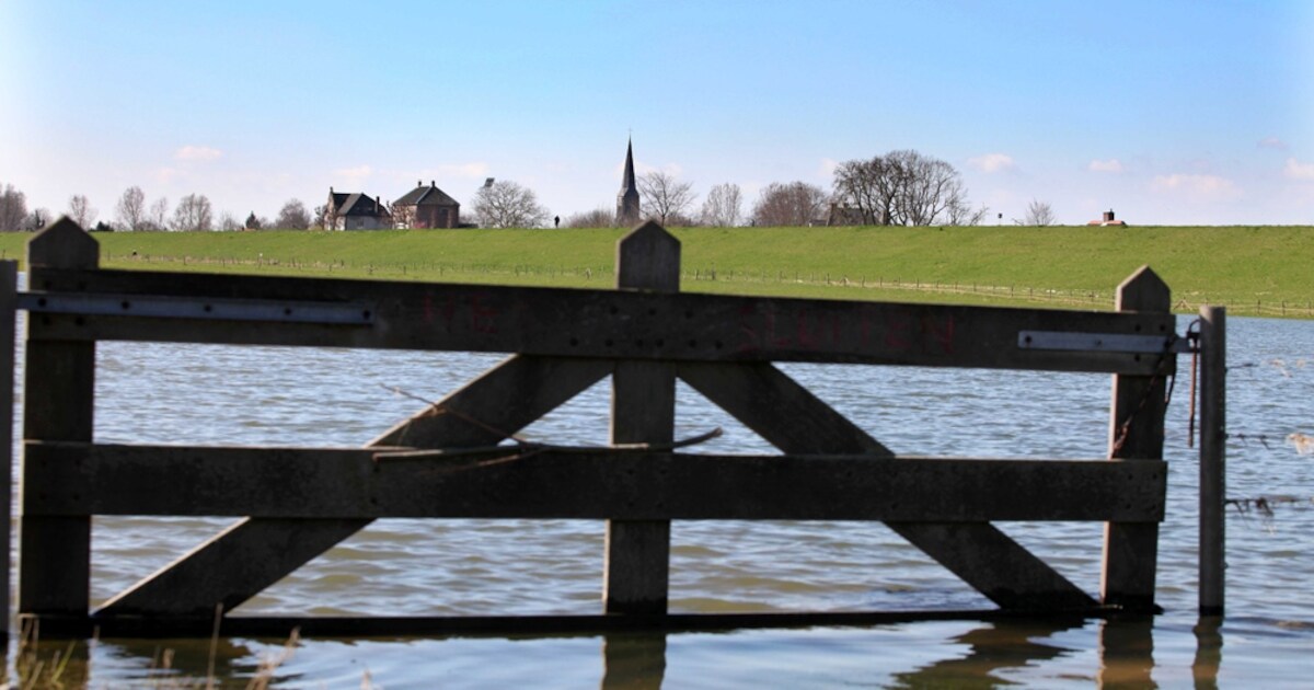 Zangeres Marijke Moritz nieuwe 'leading lady' bij Big Band Betuwe