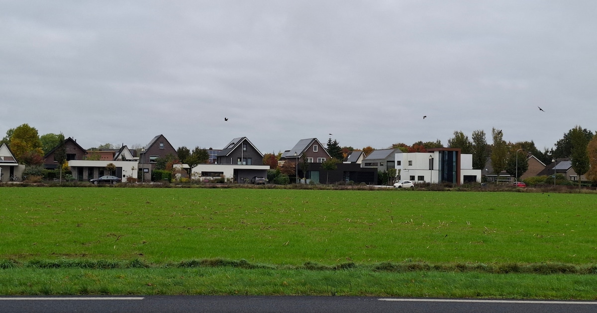 Betaalbare huizen en veel natuur: zo gaat de nieuwe wijk Stoerwoud eruitzien