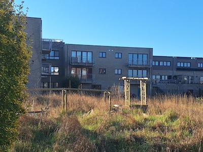 Buren slaan alarm na verplaatsing van lichamen over terras: verborgen mortuarium ontdekt in België