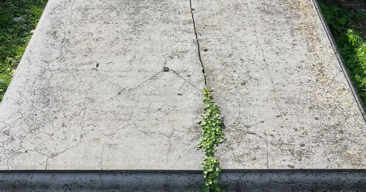 Gemeente kan 700 grafeigenaren niet vinden: ,,Blijft het onbekend, worden grafsteen en groen verwijd
