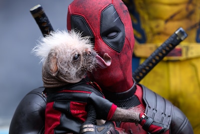 Ryan Reynolds leek klaar met superheld: ‘Maar Deadpool keert soort van terug’