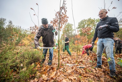 Regen is spelbreker op Natuurwerkdag: ‘Het moet wel leuk blijven’