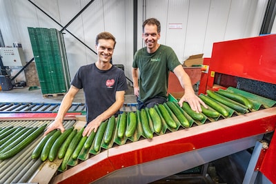Komkommertijd, lekker rustig? Vergeet het maar: ‘Record is 150.000 stuks per dag’